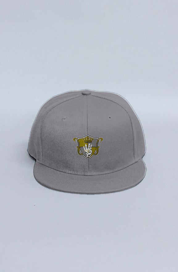 Phaze4 Legacy snapback (Grey)