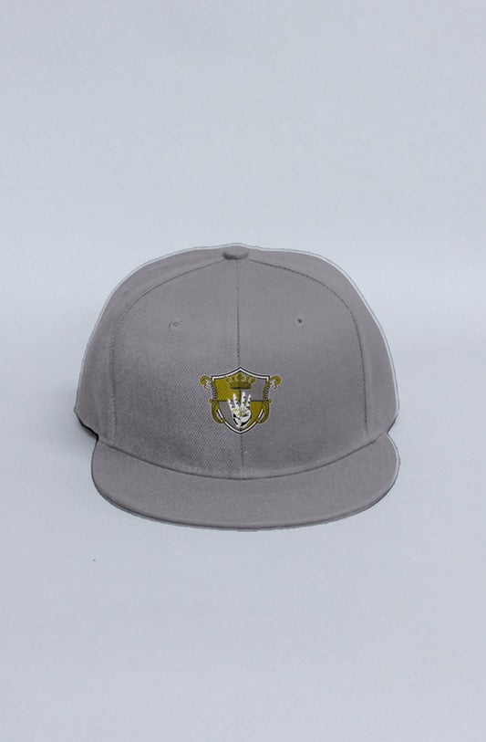 Phaze4 Legacy snapback (Grey)